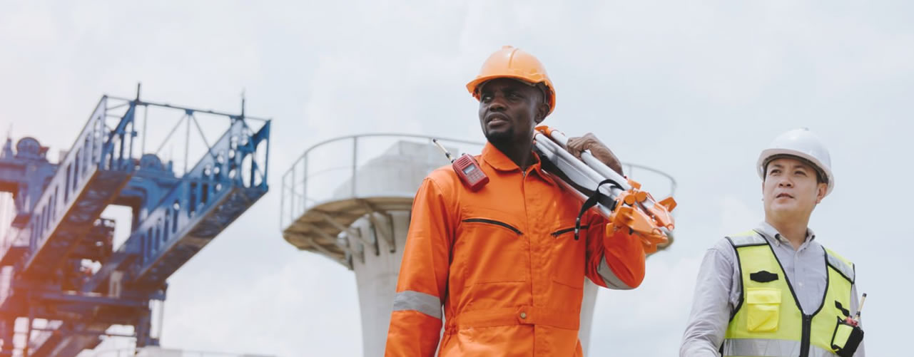 Critical Skills Visa Guide